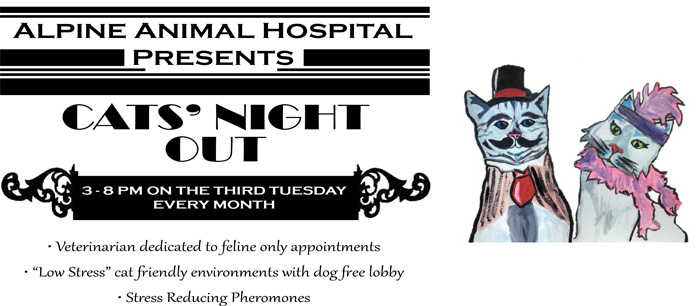 Cats' Night Out! </br>Scheduling Now!